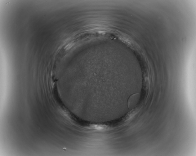 X0000086050654200704091210