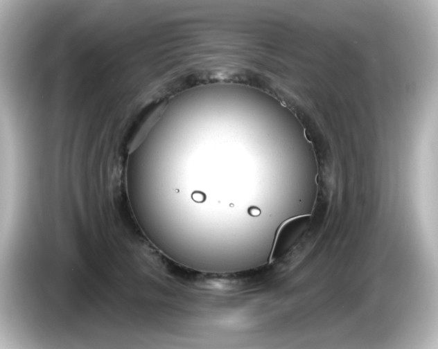 X0000086050657200704091210