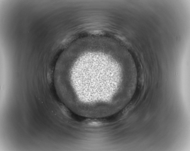 X0000086050658200704091210