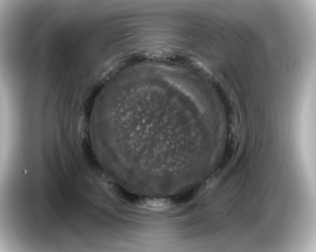 X0000086050659200704091210