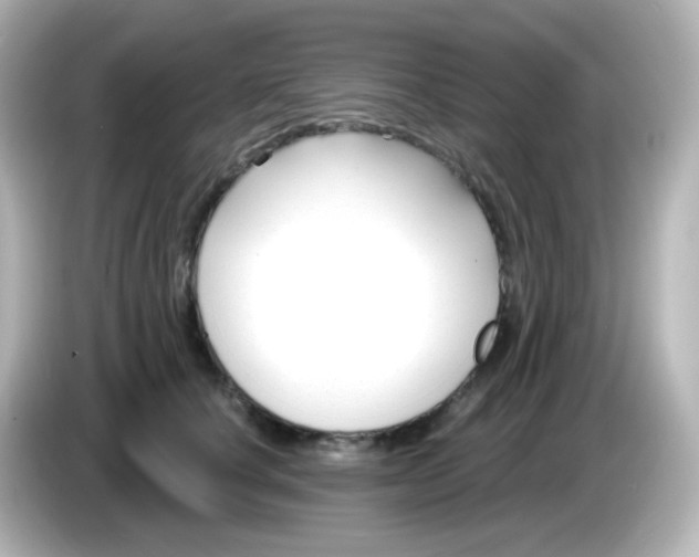 X0000086050660200704091210