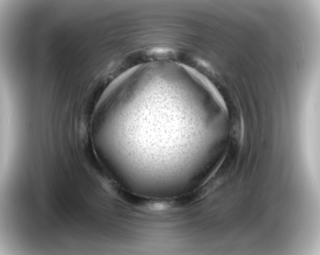 X0000086050662200704091210