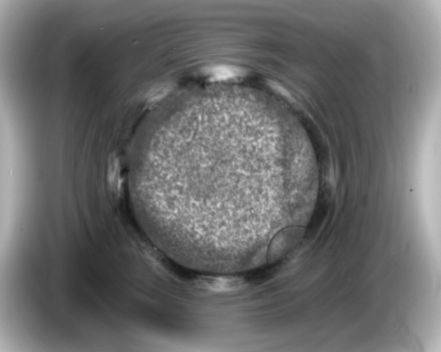 X0000086050663200704091210