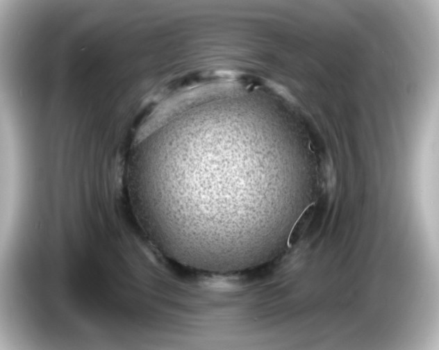 X0000086050664200704091210