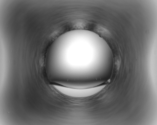 X0000086050665200704091210