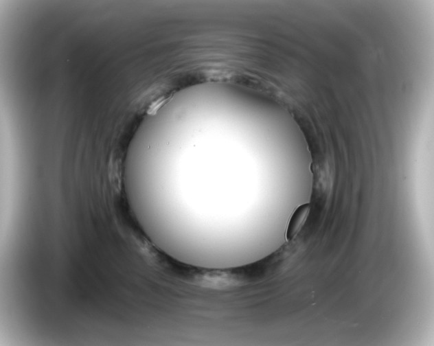 X0000086050666200704091210