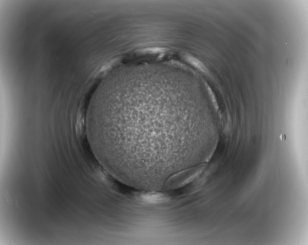 X0000086050669200704091210
