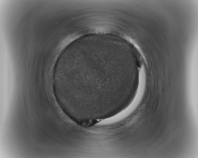 X0000086050673200704091210