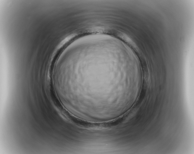 X0000086050674200704091210