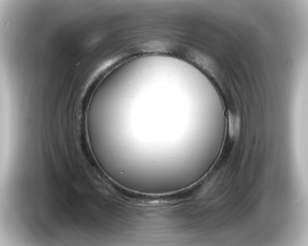 X0000086050675200704091210