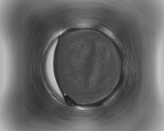 X0000086050677200704091210