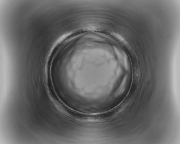 X0000086050678200704091210