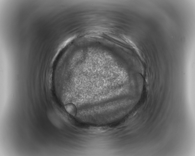 X0000086050679200704091210