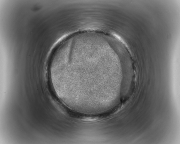 X0000086050680200704091210