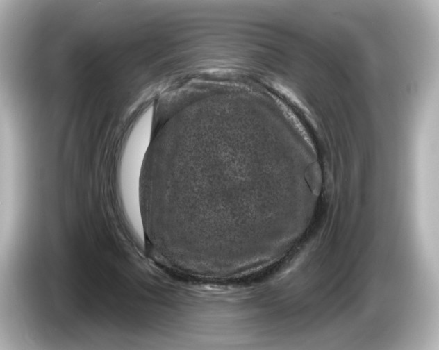 X0000086050681200704091210