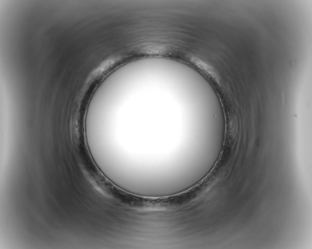 X0000086050682200704091210