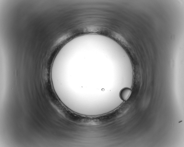 X0000086050683200704091210