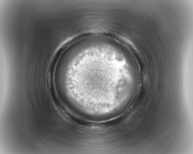 X0000086050684200704091210