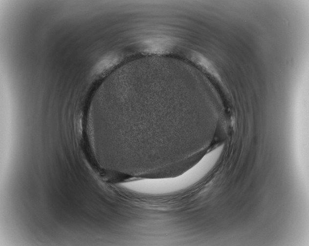 X0000086050685200704091210