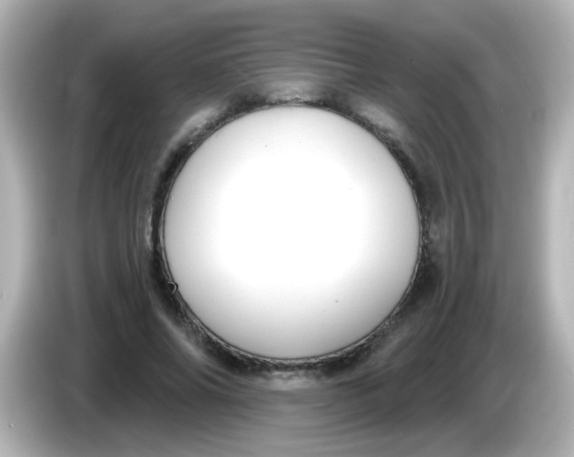 X0000086050686200704091210
