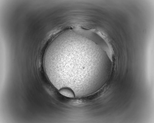 X0000086050687200704091210