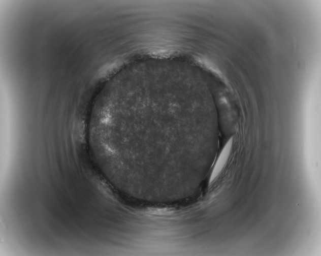 X0000086050689200704091210