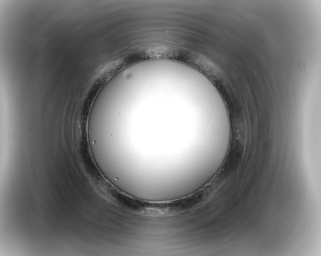 X0000086050690200704091210
