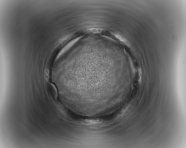 X0000086050693200704091210