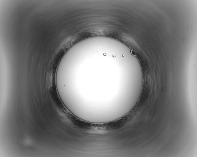 X0000086050694200704091210