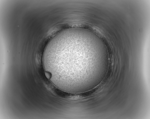 X0000086050695200704091210
