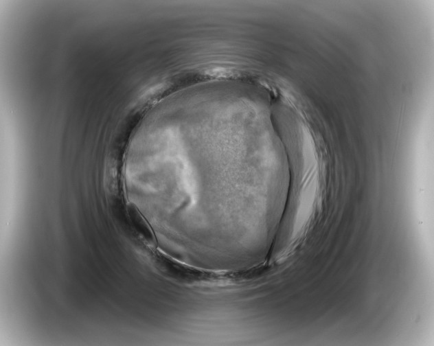 X0000086050696200704091210