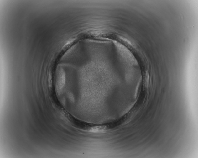 X0000086050700200704091210