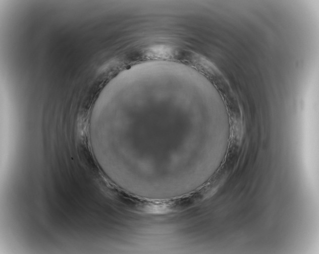 X0000086050701200704091210