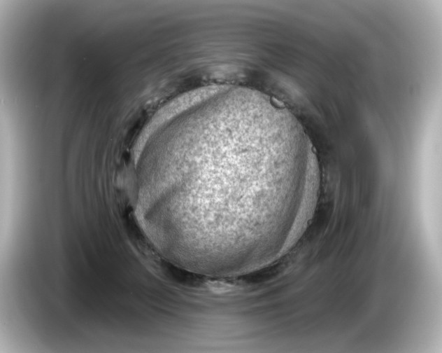 X0000086050703200704091210