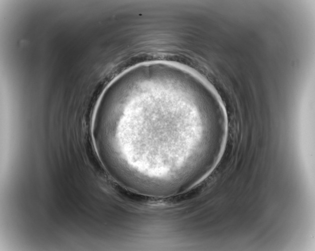 X0000086050704200704091210