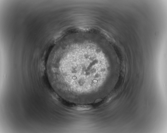 X0000086050707200704091209