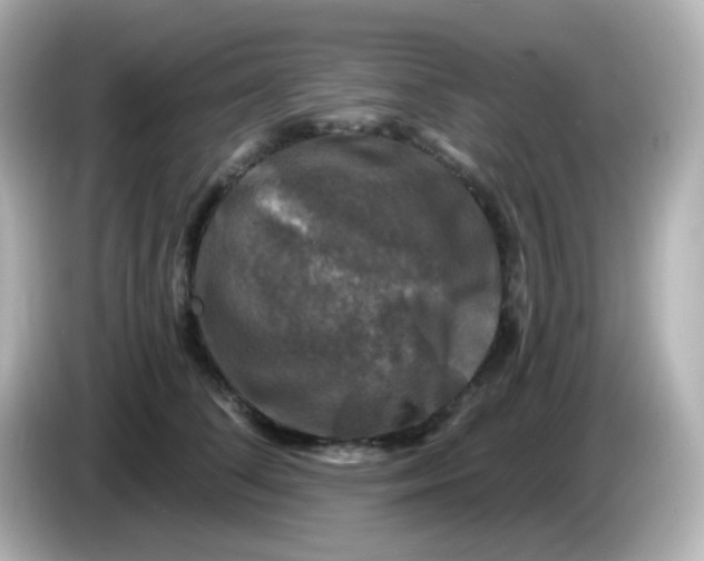 X0000086050708200704091209