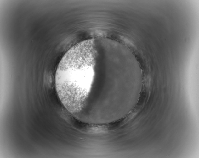 X0000086050709200704091209