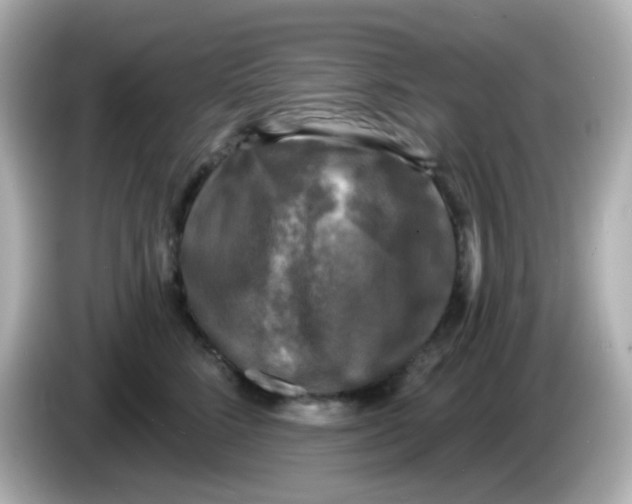 X0000086050712200704091209