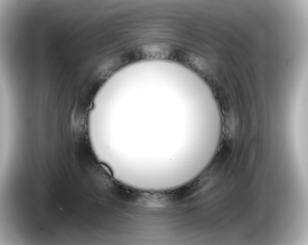 X0000086050713200704091209