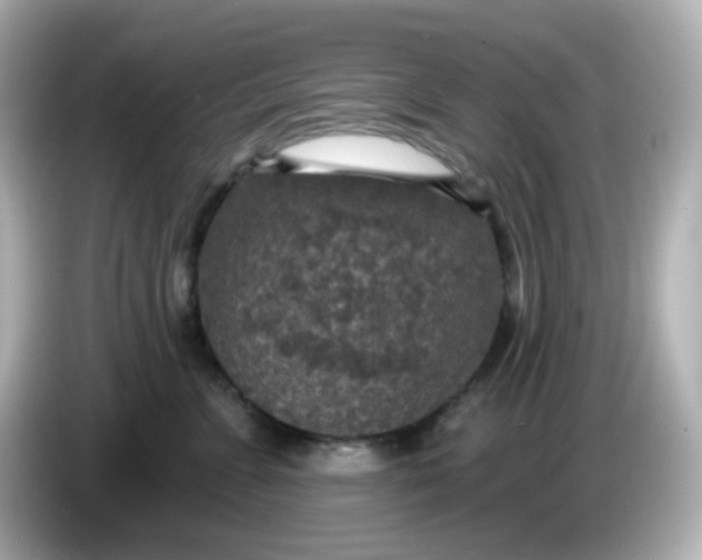 X0000086050715200704091209