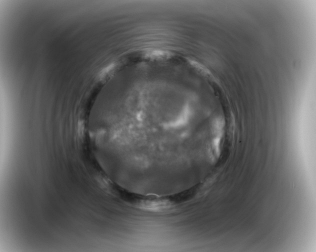 X0000086050716200704091209