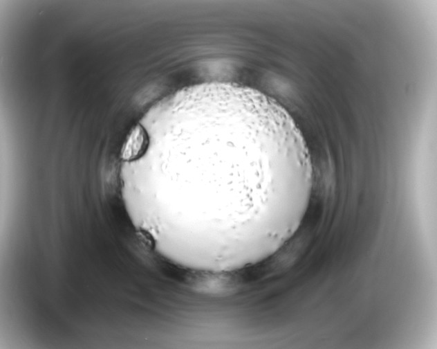 X0000086050717200704091209