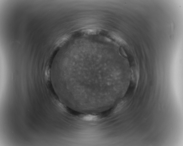 X0000086050718200704091209