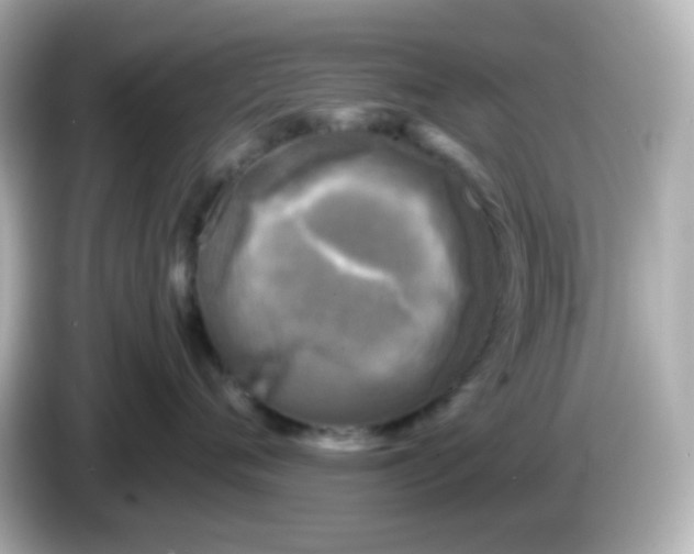 X0000086050720200704091209