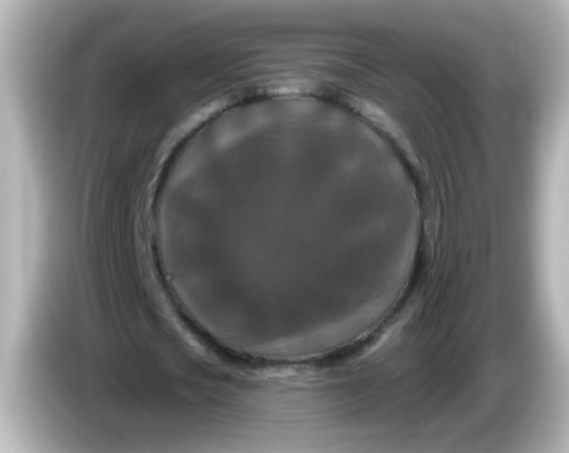 X0000086050721200704091209