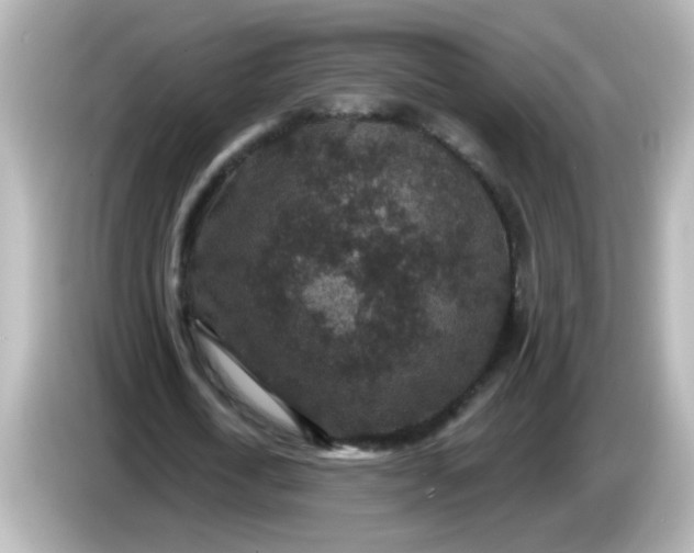 X0000086050722200704091209