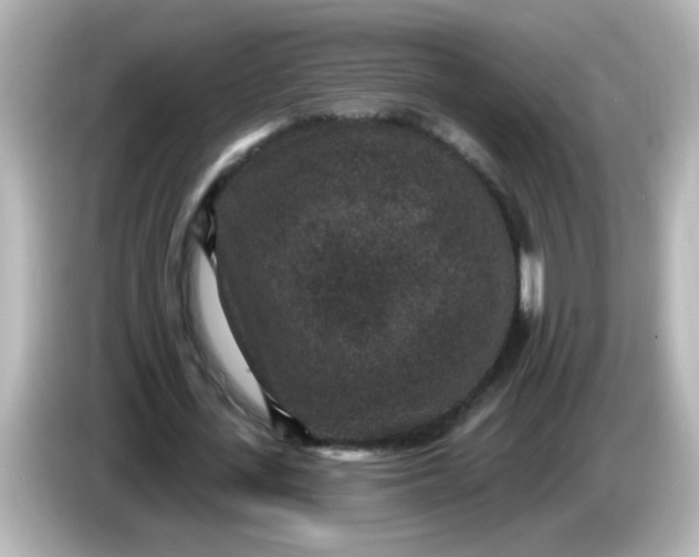 X0000086050723200704091209
