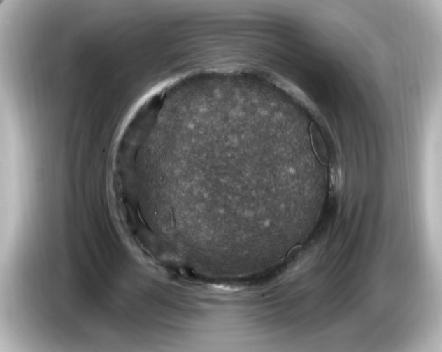 X0000086050724200704091209