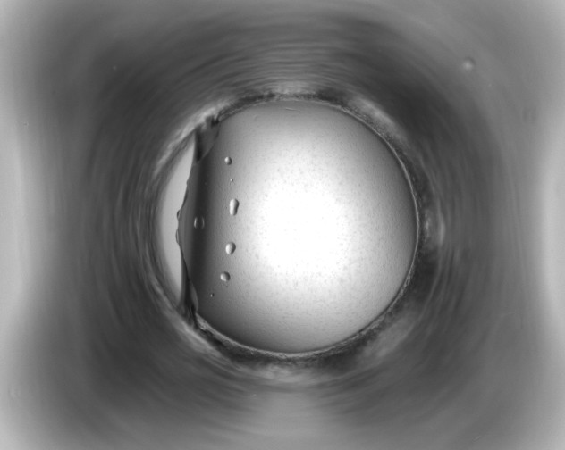 X0000086050725200704091209